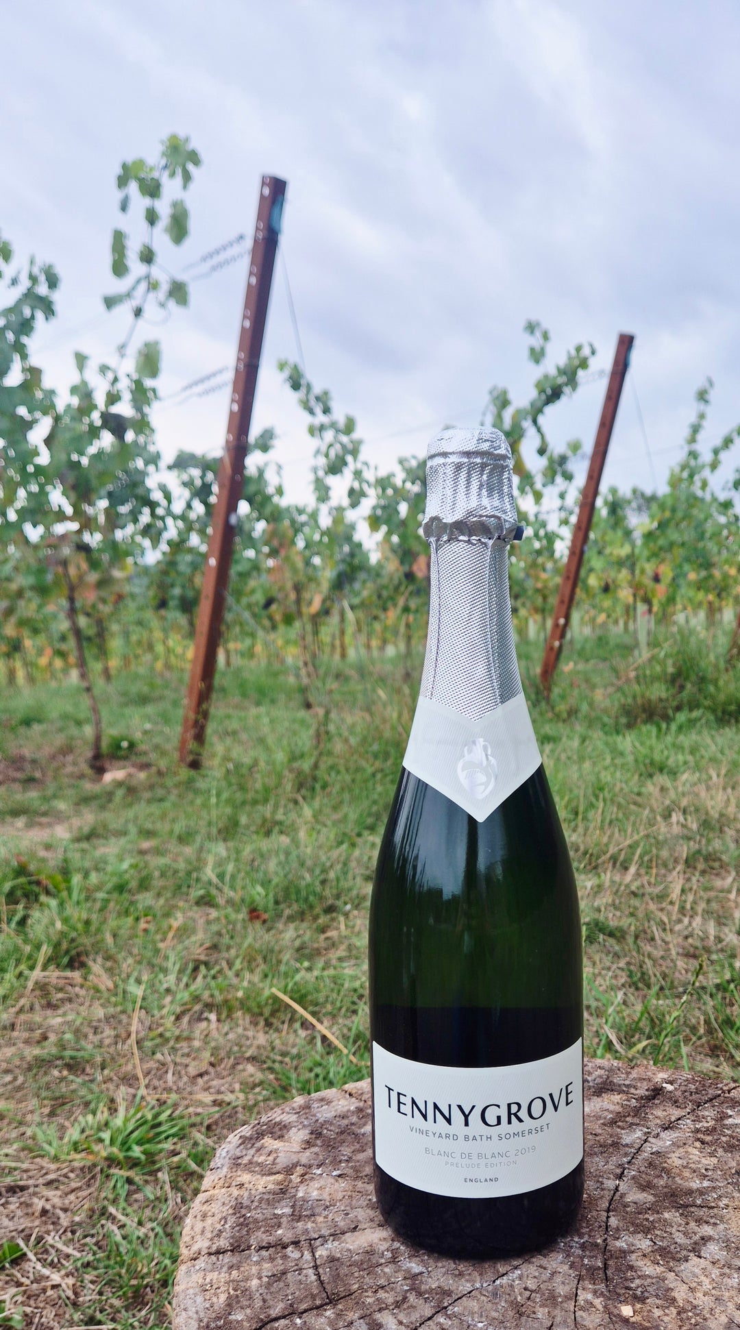 Tennygrove Blanc de Blanc 2019 Prelude Edition