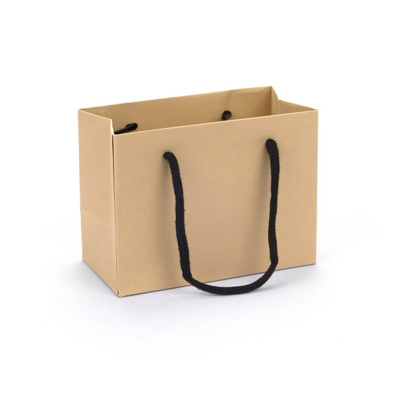 Luxury Kraft Paper Gift Bag Small