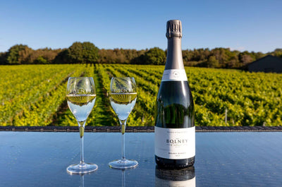 Bolney Wine Estate Celebrates 50 Years