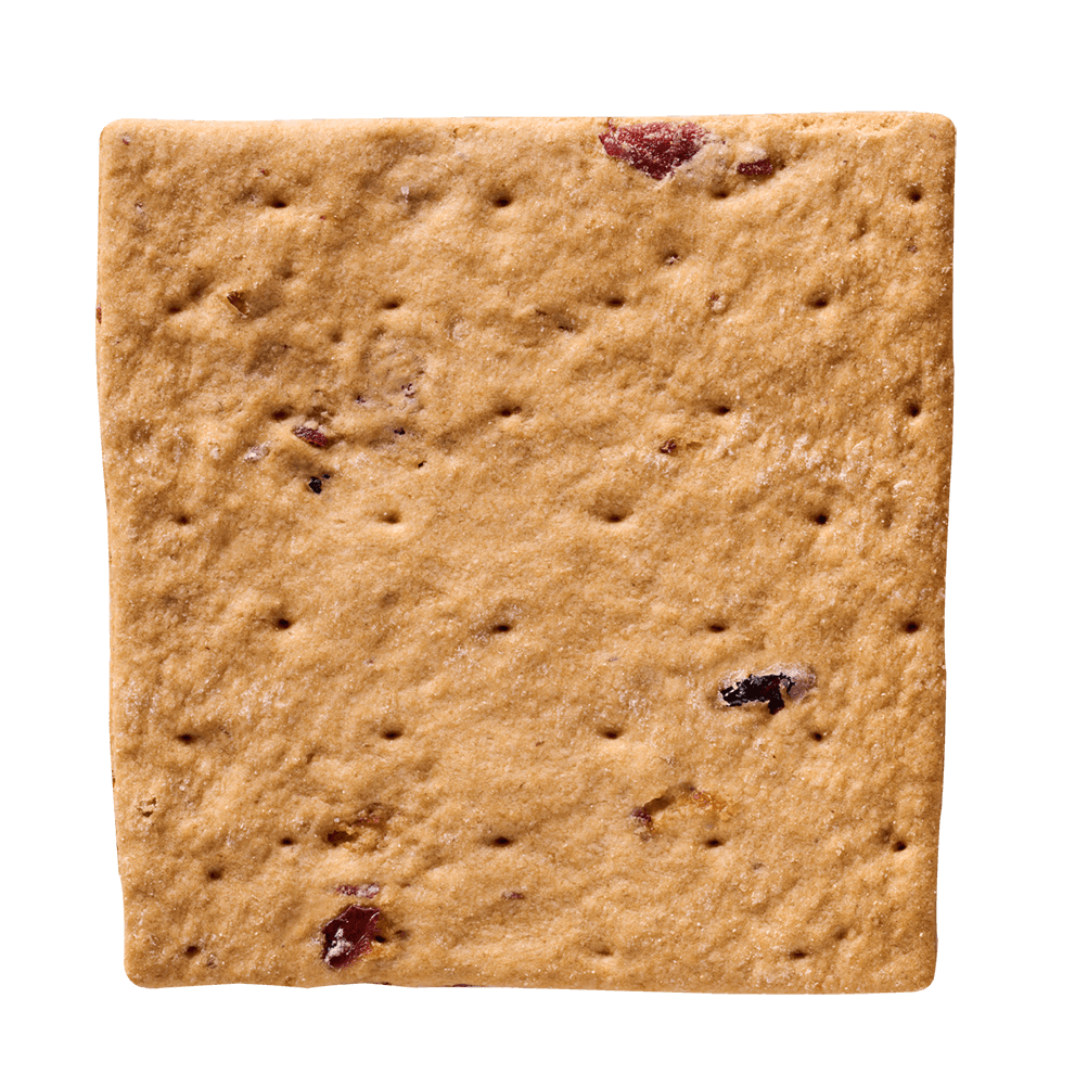 Snowdonia Crackers Fig & Cranberry 100g