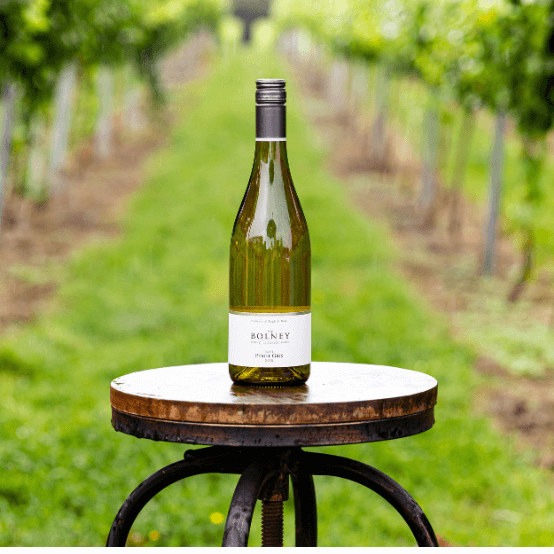 Bolney 2019 Pinot Gris 75cl