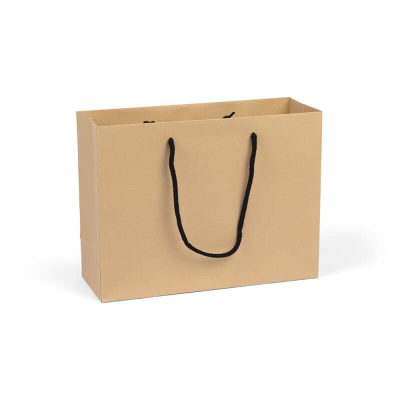 Luxury Kraft Paper Gift Bag Large